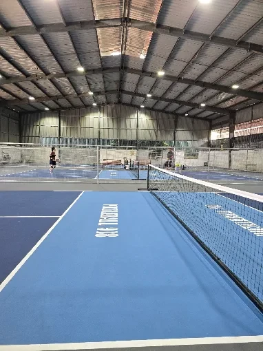 Pickleball 918